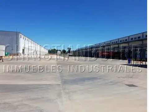 Av. Constituyentes  699