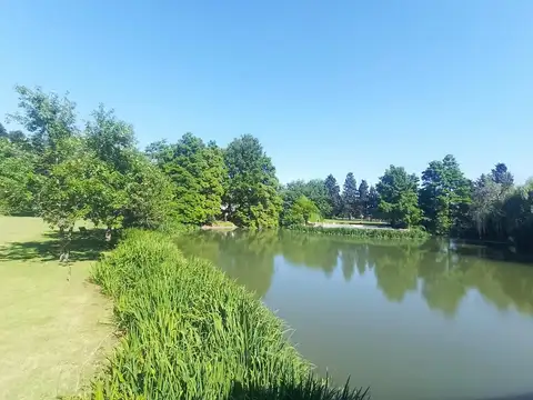 Departamento en Alquiler Apto profesional