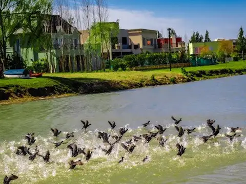 Terreno en Venta de 798,0 m2