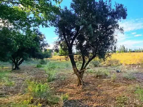 Terreno en Venta en Las Paredes, USD 40.000