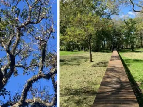 Terreno en Venta 20  mts Frente