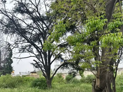 Terreno en Venta de 330,0 m2