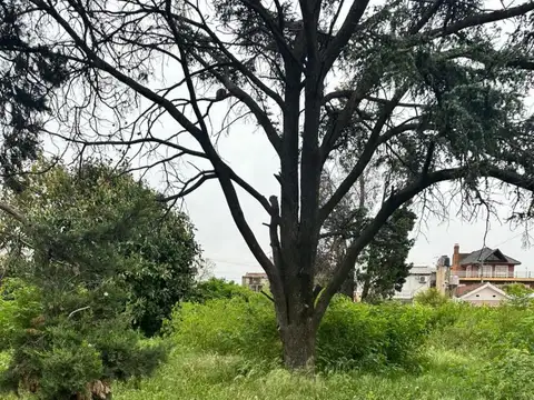 Terreno - Venta - Argentina, La Matanza - RISSO PATRON 4626