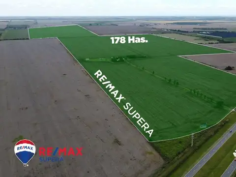 AUTOVÍA RUTA NACIONAL N°19. MI GRANJA. PROVINCIA DE CÓRDOBA.