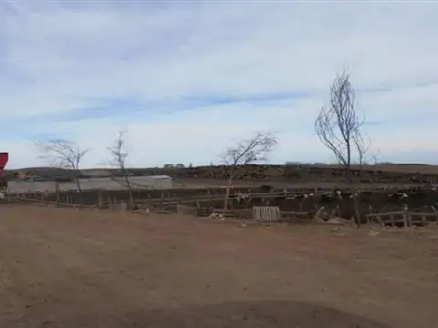 Campo  en Venta en San Luis Capital, San Luis, Argentina