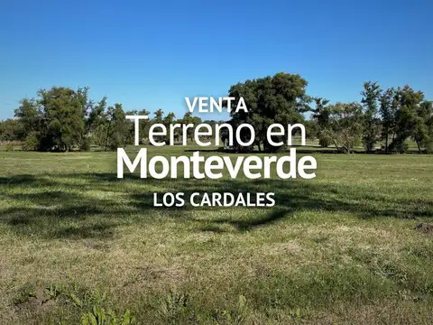 TERRENO EN VENTA, BARRIO SEMI CERRADO MONTEVERDE, LOS CARDALES