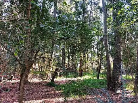 LOTES EN LOMAS ALTAS CHASCOMUS