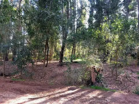 Terreno en Venta en Chascomus, USD 38.000