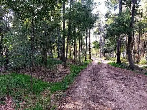 LOTES EN LOMAS ALTAS CHASCOMUS