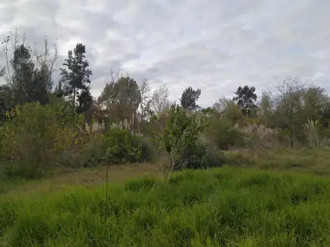 Terreno en Venta de 15716,0 m2