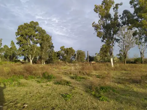 Terreno - Villa La Ñata