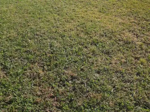 Terreno en Venta de 300,0 m2