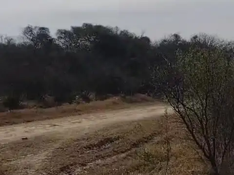 VENTA TERRENO 3200 M2, COLONIA SAN JOSE