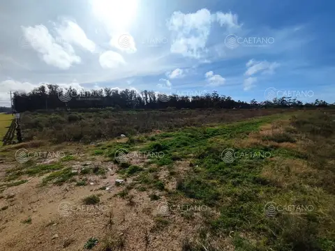 Terreno en Venta 38  mts Fondo