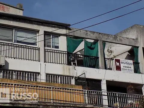 Remedios De Escalada De San Martín  1294