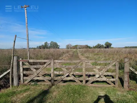 A 1000 metros ruta 41