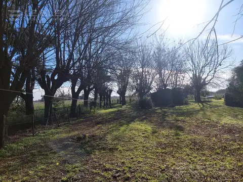 A 1000 metros ruta 41