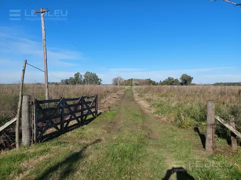 CAMPO CON CASA EN LOBOS
