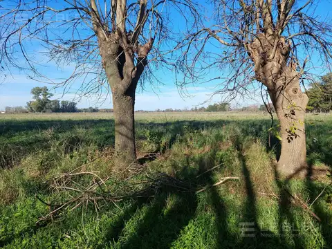 CAMPO CON CASA EN LOBOS