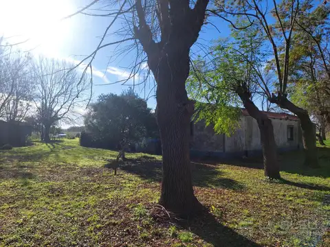 A 1000 metros ruta 41