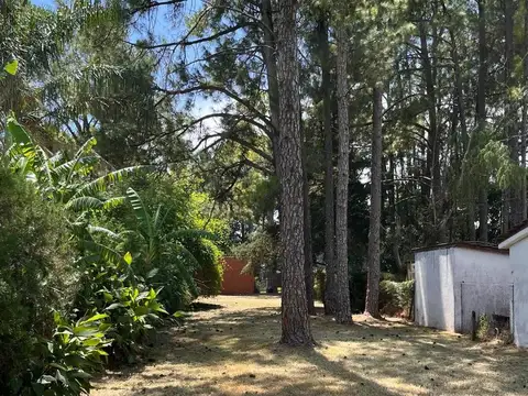 Terreno en Venta 10  mts Frente