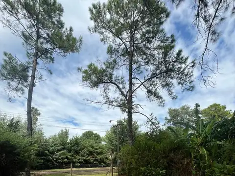 Lote de terreno en venta- Namuncura al 600, Roldán