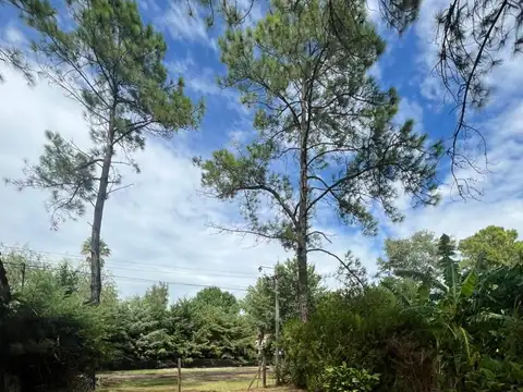 Terreno en Venta de 475,0 m2