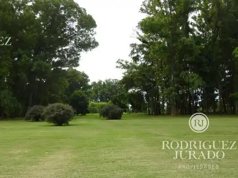 Terreno - Haras San Pablo