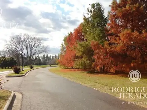 Terreno - Haras San Pablo