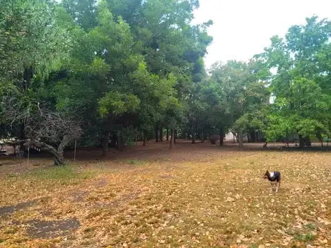 Campo en Venta de 6  ha