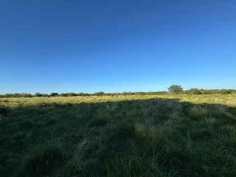 Campo ganadero 62 hec sobre ruta 126 Sauce Corrientes