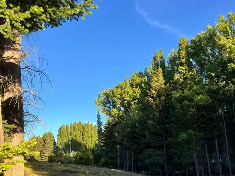 Terreno en Venta en San Martin De Los Andes, USD 60.000