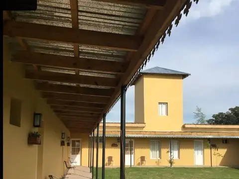 Uribelarrea - San Martin 100