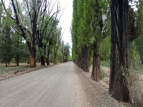 Terreno en Venta de 2500,0 m2