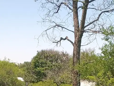 Terreno en Venta de 1,0 m2