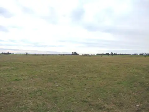 Ana Zavalía Bunge y ruta al 100