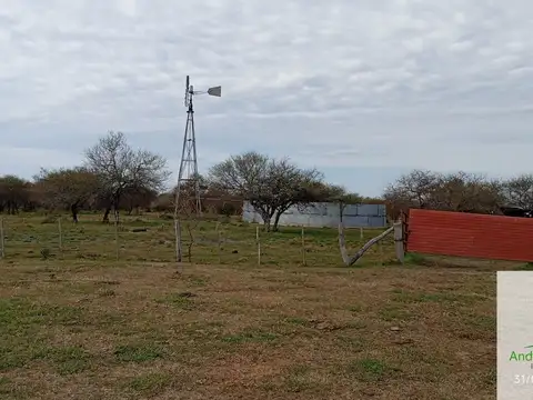 Campo en alquiler de 1400has ubicado en Federal Entre Ríos