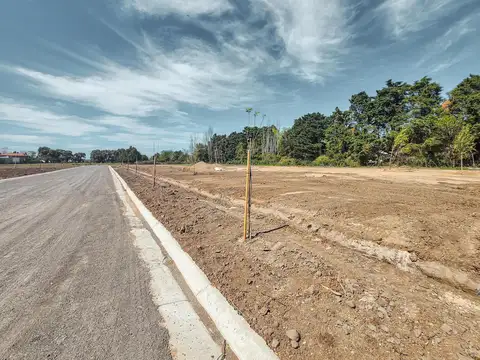 Terreno en Venta de 350,0 m2