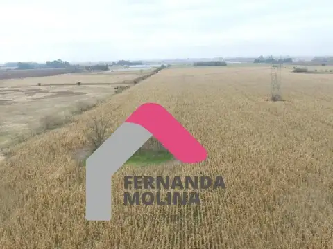 Terreno en Venta en Diego Gaynor, USD 308.000