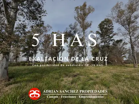 A metros de Ruta N° 8 - KM. 71