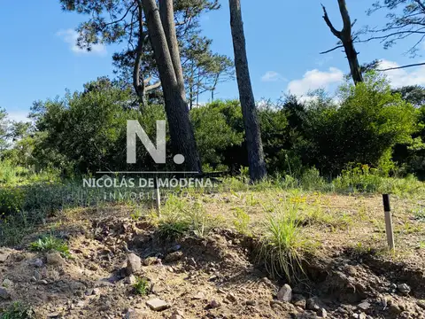 Venta terreno en Reserva Montoya USD 310.000