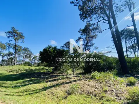 Terreno en Venta de 1015,0 m2