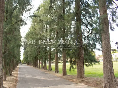 Terreno en Venta de 950,0 m2