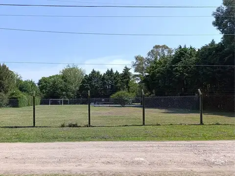 Juan Bautista Alberdi 200