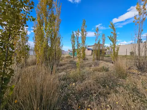 Terreno en Venta 43  mts Fondo