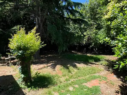 Combate Vuelta de Obligado 500