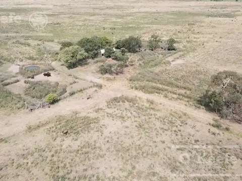 170 Has. a menos de 1 hs de CABA, muy buen acceso!