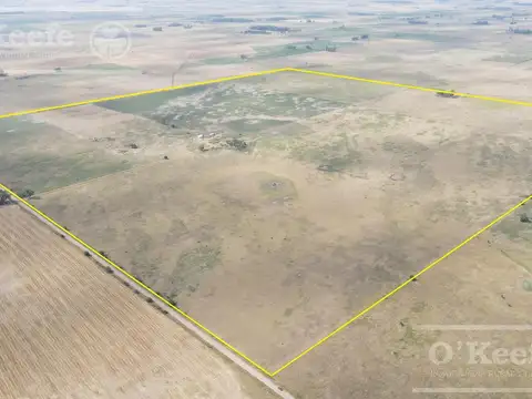 170 Has. a menos de 1 hs de CABA, muy buen acceso!