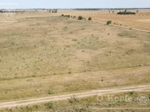 170 Has. a menos de 1 hs de CABA, muy buen acceso!