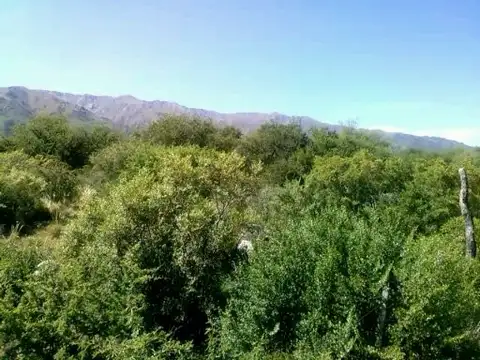 Autopista 25 de Mayo 25000